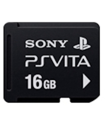 Sony 16GB PCH-Z161
