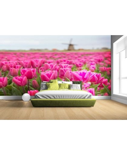 FotoCadeau.nl - Roze tulpen en windmolen Fotobehang 380x265