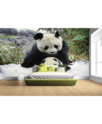 FotoCadeau.nl - Moeder panda en welp in de winter Fotobehang 380x265