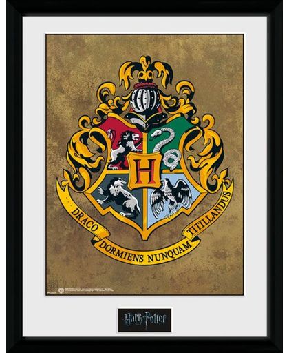 Harry Potter Hogwarts - Collector Print 30x40