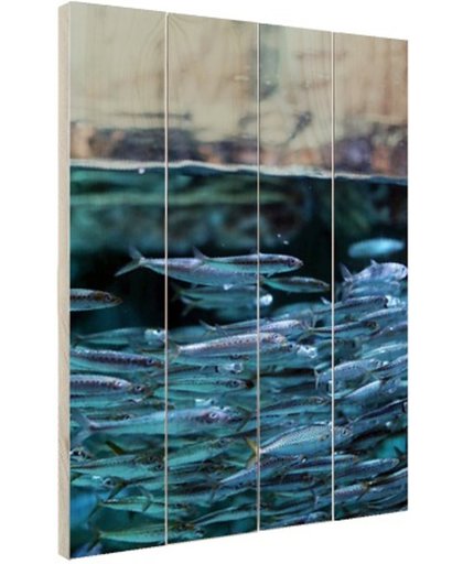 FotoCadeau.nl - Boven en onderwater vissen Hout 40x60 cm - Foto print op Hout (Wanddecoratie)