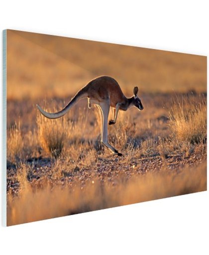 FotoCadeau.nl - Springende kangoeroe warme gloed Glas 90x60 cm - Foto print op Glas (Plexiglas wanddecoratie)