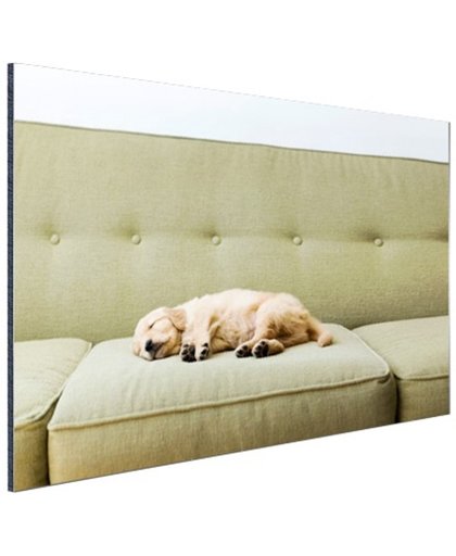 FotoCadeau.nl - Slapende puppy op de bank Aluminium 120x80 cm - Foto print op Aluminium (metaal wanddecoratie)