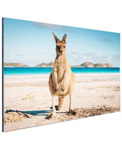 FotoCadeau.nl - Kangoeroe op het strand Australie Aluminium 90x60 cm - Foto print op Aluminium (metaal wanddecoratie)