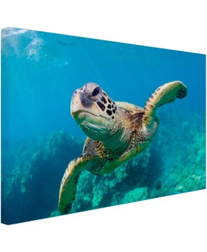 FotoCadeau.nl - Zeeschildpad zwemmend in Hawai Canvas 60x40 cm - Foto print op Canvas schilderij (Wanddecoratie)
