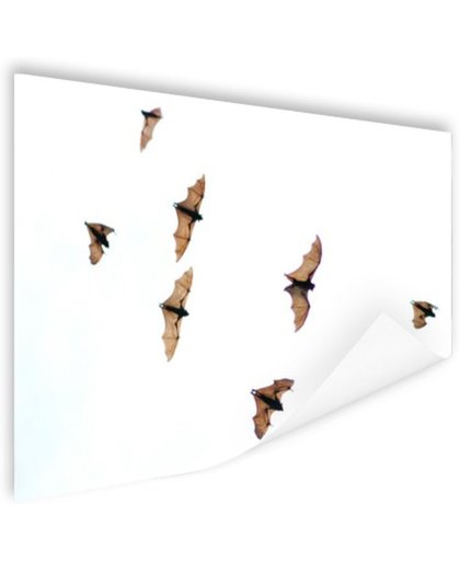 FotoCadeau.nl - Vliegende vleermuizen Poster 150x75 cm - Foto print op Poster (wanddecoratie)