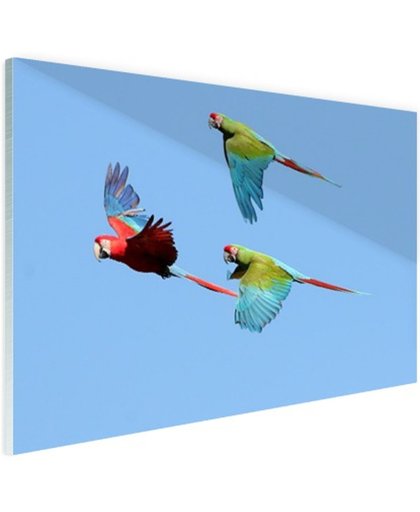 FotoCadeau.nl - Drie vliegende aras Glas 60x40 cm - Foto print op Glas (Plexiglas wanddecoratie)