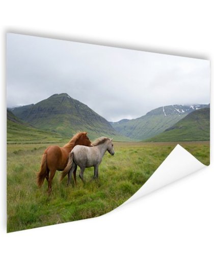 FotoCadeau.nl - Paarden in heuvelgebied Poster 90x60 cm - Foto print op Poster (wanddecoratie)