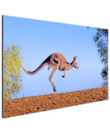 FotoCadeau.nl - Rode kangoeroe Aluminium 90x60 cm - Foto print op Aluminium (metaal wanddecoratie)