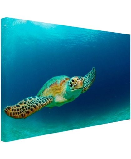 FotoCadeau.nl - Close-up foto van groene zeeschildpad Canvas 80x60 cm - Foto print op Canvas schilderij (Wanddecoratie)