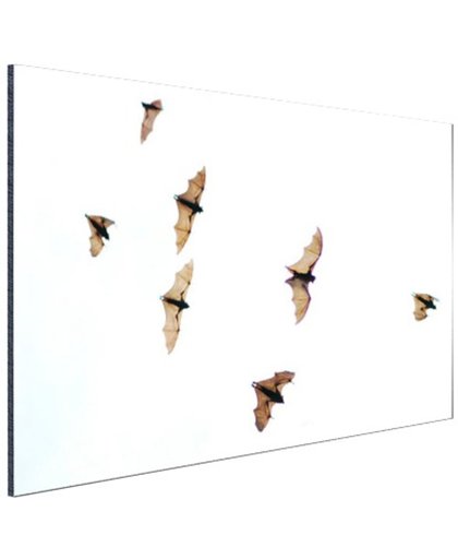 FotoCadeau.nl - Vliegende vleermuizen Aluminium 90x60 cm - Foto print op Aluminium (metaal wanddecoratie)