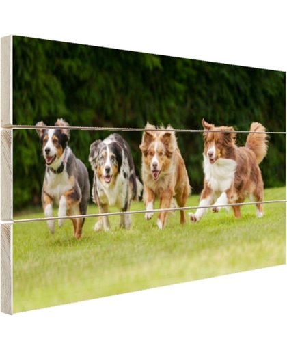 FotoCadeau.nl - 4 rennende honden op een rij Hout 30x20 cm - Foto print op Hout (Wanddecoratie)