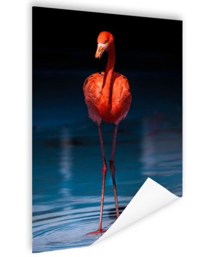 FotoCadeau.nl - Flamingo donkere achtergrond Poster 120x180 cm - Foto print op Poster (wanddecoratie)