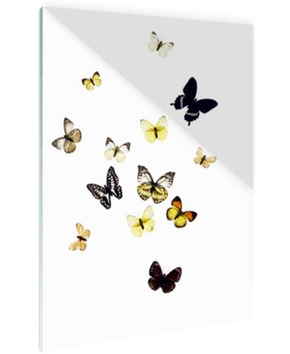FotoCadeau.nl - Vlinders op witte achtergrond Glas 60x90 cm - Foto print op Glas (Plexiglas wanddecoratie)