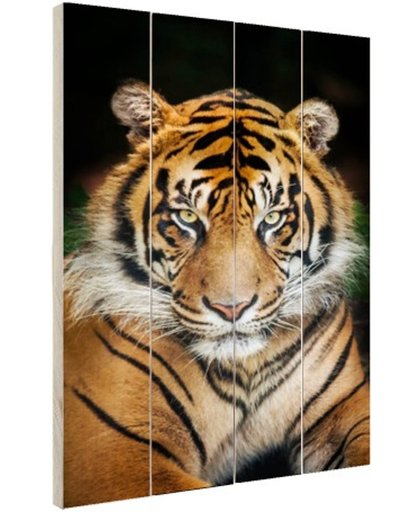 FotoCadeau.nl - Sumatraanse tijger zwarte achtergrond Hout 20x30 cm - Foto print op Hout (Wanddecoratie)
