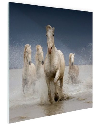 FotoCadeau.nl - Witte paarden in het water Glas 60x40 cm - Foto print op Glas (Plexiglas wanddecoratie)