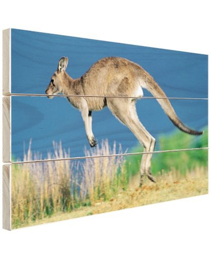 FotoCadeau.nl - Springende kangoeroe Hout 120x80 cm - Foto print op Hout (Wanddecoratie)