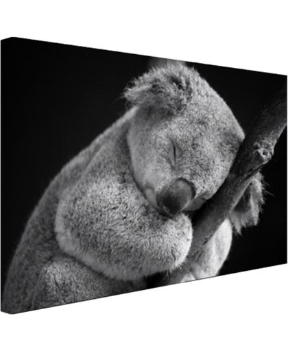 FotoCadeau.nl - Een slapende koala Canvas 120x80 cm - Foto print op Canvas schilderij (Wanddecoratie)