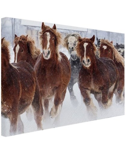FotoCadeau.nl - Hardlopende paarden in de sneeuw Canvas 120x80 cm - Foto print op Canvas schilderij (Wanddecoratie)