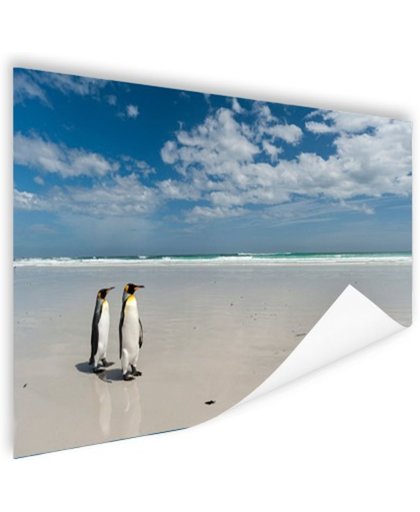 FotoCadeau.nl - Koningspinguins op het strand Poster 60x40 cm - Foto print op Poster (wanddecoratie)