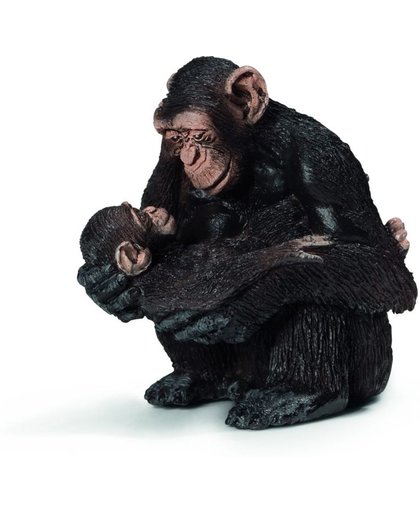 Vrouwelijke Chimpansee Met Baby