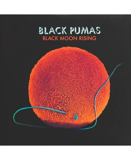 Black Moon Rising (Clear)
