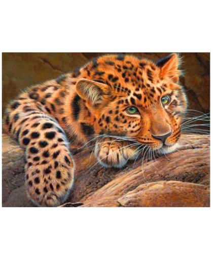 Diamond painting - Luipaard - 40x50 cm