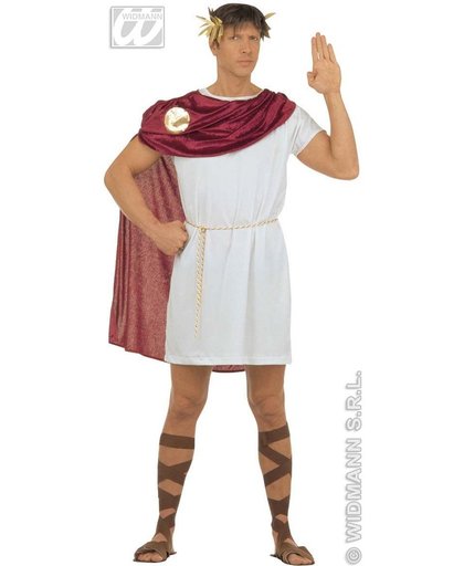 Strijder (Oudheid) Kostuum | Spartacus Mr Ave Kostuum Man | Small | Carnaval kostuum | Verkleedkleding