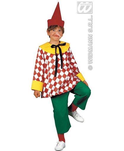Pinokkio Kostuum | Kleurrijk Pinokkio Kostuum Jongen | Maat 140 | Carnaval kostuum | Verkleedkleding