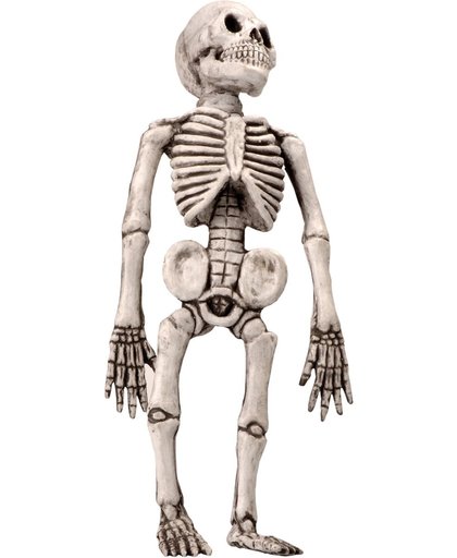 "Skelet voor Halloweenversiering - Feestdecoratievoorwerp - One size"