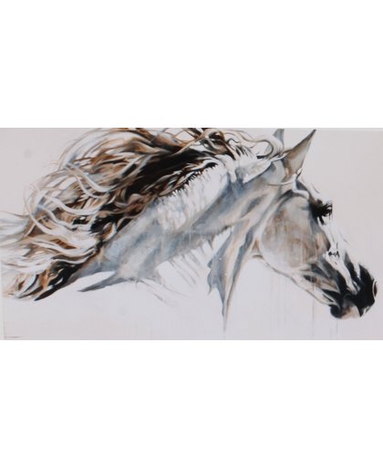 Horka Wenskaart Paard Witte Achtergrond 12,5 X 18 Cm