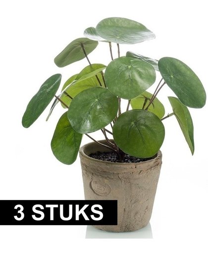 3x stuks Kunstplanten pannekoekplant  groen in pot 25 cm - Kamerplanten groen pilea