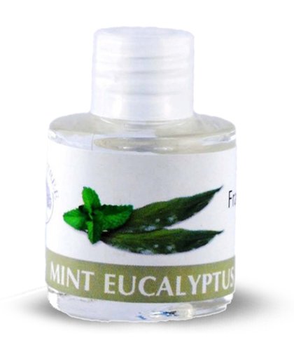 Geurolie Mint Eucalyptus 2 stuks 10ml