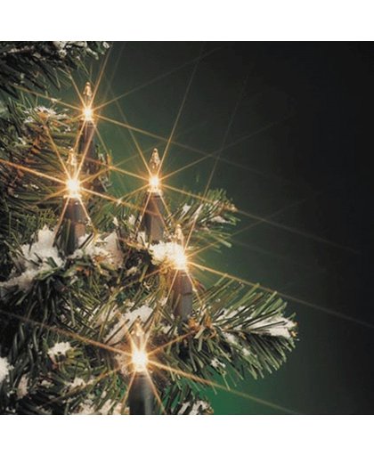 Kerstverlichting helder buiten 160 lampjes - 29 meter - kerstlampjes
