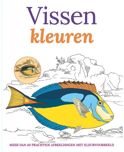 Vissen Kleuren Kleurboek