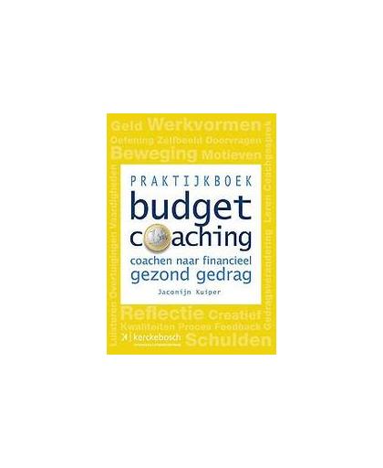Praktijkboek Budgetcoaching. Coachen naar financieel gezond gedrag, Kuiper, Jacomijn, Paperback