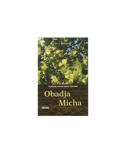 Obadja en Micha. profeten van de trouw van God, Westerink, J., Paperback