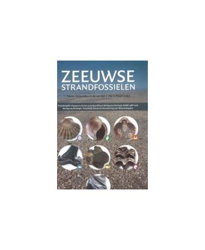 Zeeuwse strandfossielen. fauna Zeelandica in de oertijd, Paperback