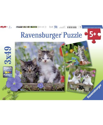 Ravensburger puzzel katten - Drie puzzels - 49 stukjes - kinderpuzzel