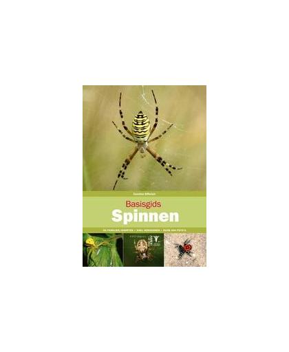 Basisgids Spinnen. kennismaking met spinnen en hun verwanten, Elfferich, Caroline, Paperback