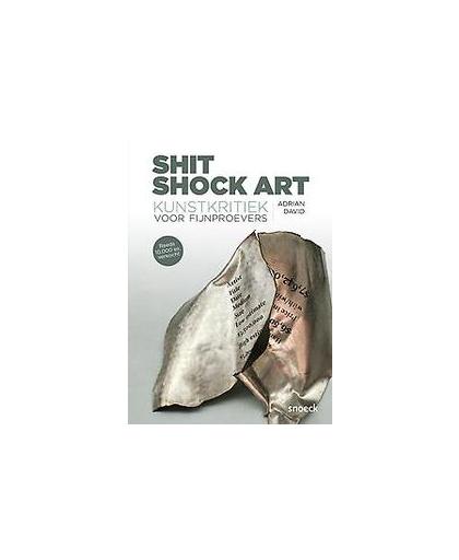 Shit Shock Art. Kunstkritiek voor fijnproevers, David, Adrian, Paperback