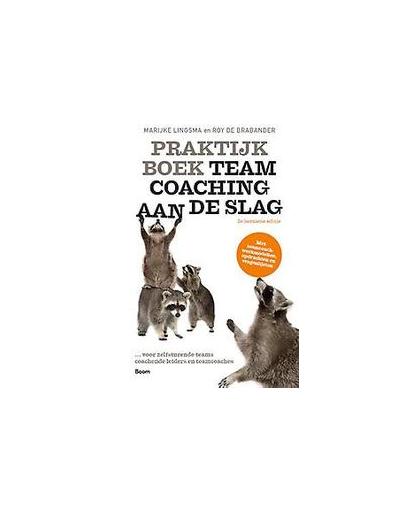 Praktijkboek Teamcoaching, aan de slag. Marijke Lingsma, Paperback