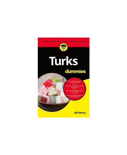 Turks voor Dummies. Elif Dilmaç, Paperback