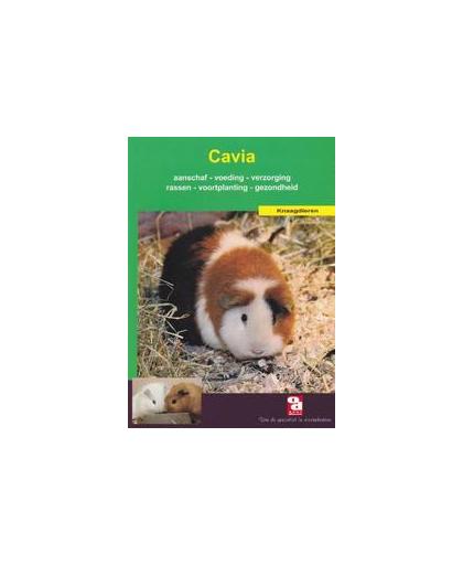 De cavia. voeding, verzorging, aanschaf, huisvesting, voortplanting, gezondheid en nog veel meer, D. HamerHamer, Paperback
