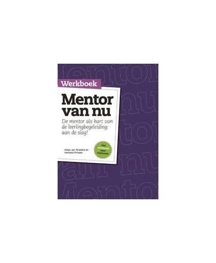 Werkboek mentor van nu. de mentor als hart van de leerlingbegeleiding: aan de slag!, Terpstra, Klaas Jan, Paperback