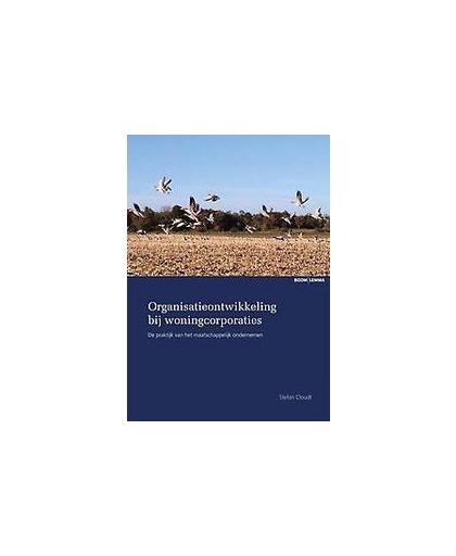 Organisatieontwikkeling bij woningcorporaties. de praktijk van het maatschappelijk ondernemen, Stefan Cloudt, Paperback