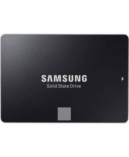 Samsung MZ-75E1T0 1000 GB SATA III 2.5"