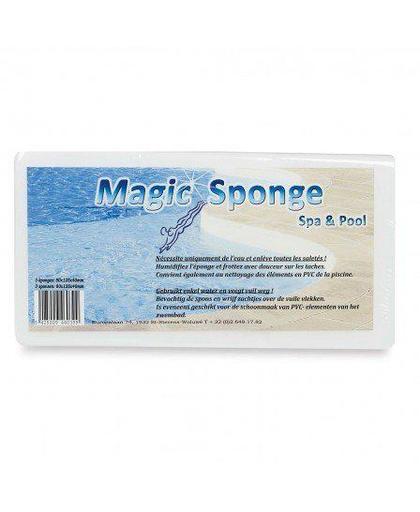 Magic Sponzen voor zwembad (3 stuks)