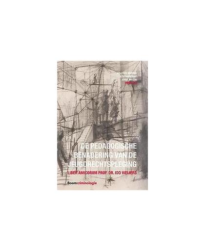 De pedagogische benadering van de jeugdrechtspleging. liber amicorum prof. dr. Ido Weijers, Paperback