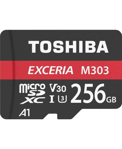 Toshiba Exceria M303 256GB flashgeheugen MicroSDXC UHS-I